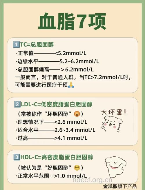 血脂化验单怎么看 如何治疗高血脂症