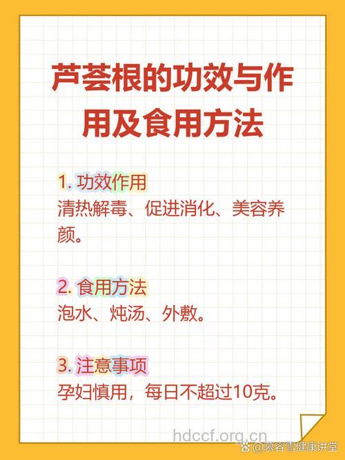 芦荟根的功效与作用