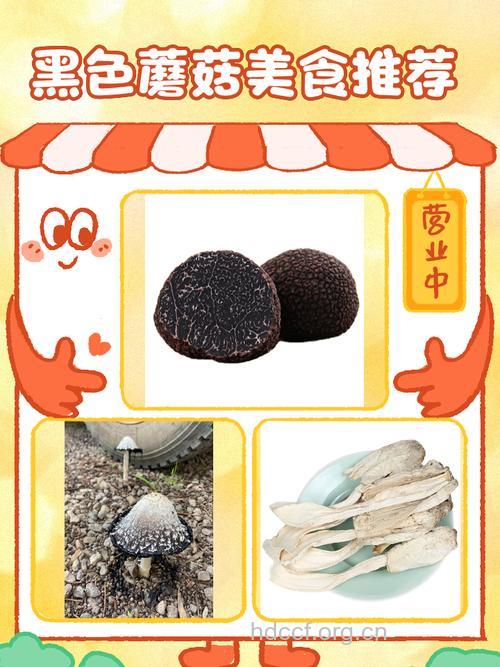 小黑菇的功效与作用