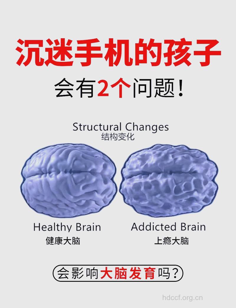 青少年使用手机,增加脑癌患病率