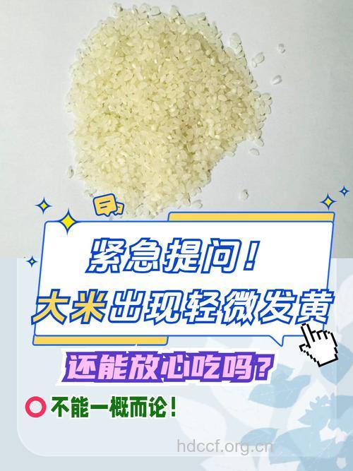 大米发黄,诱发肝癌