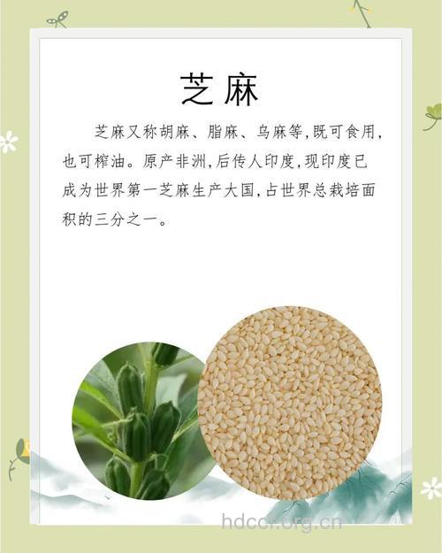 芝麻壳的功效与作用