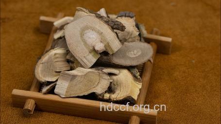 轮伞五加的功效与作用