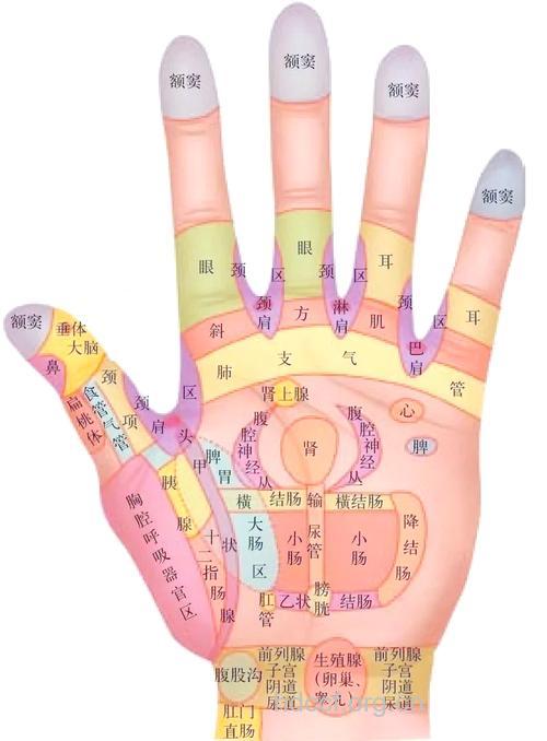 中医的望形指的是哪些？
