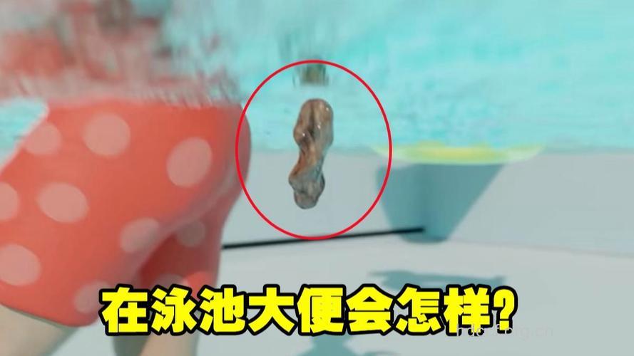 在泳池中小便,致癌物质水中漂