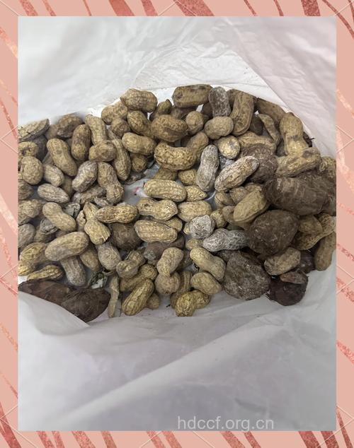 霉变花生制成低价花生酱,可能致癌