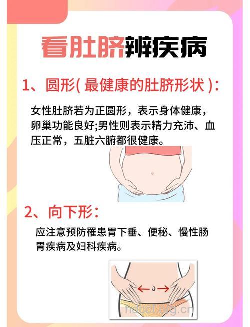 望肚脐 知身体健康