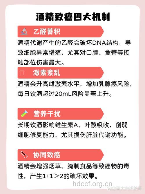 喝酒与癌症的关系