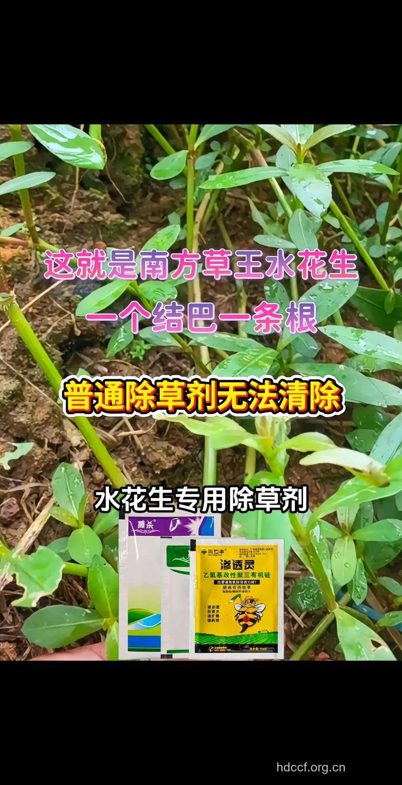 水毛花根的功效与作用