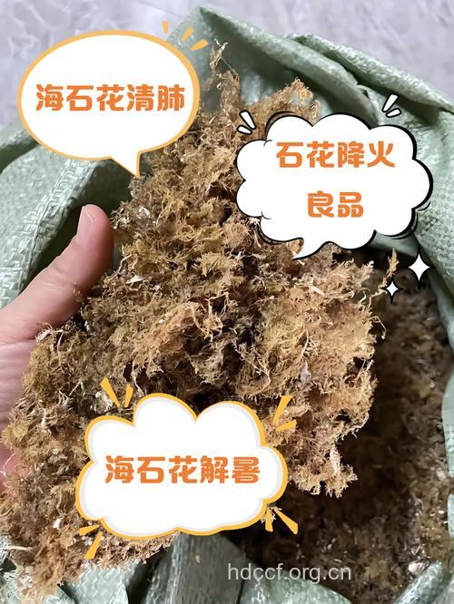 石上开花的功效与作用
