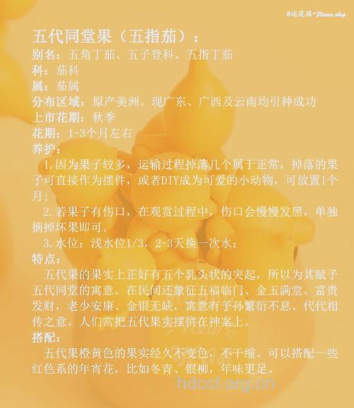 五代同堂的功效与作用