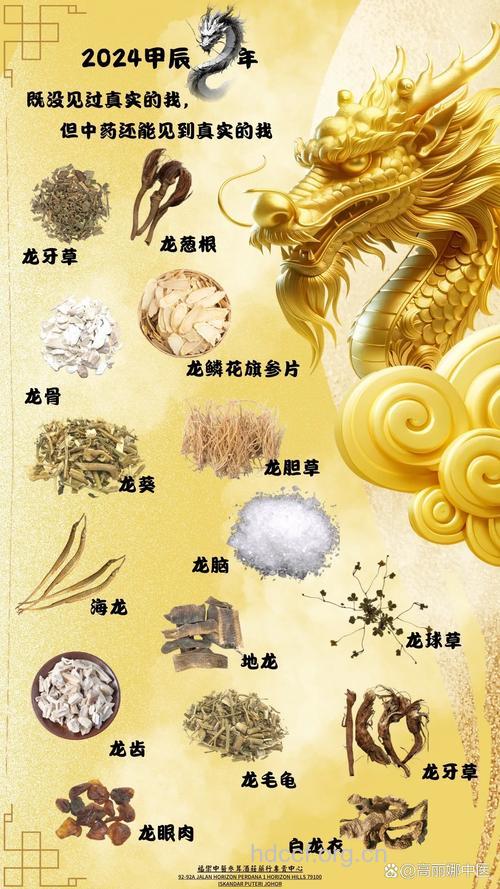 那些药材是带着龙字的