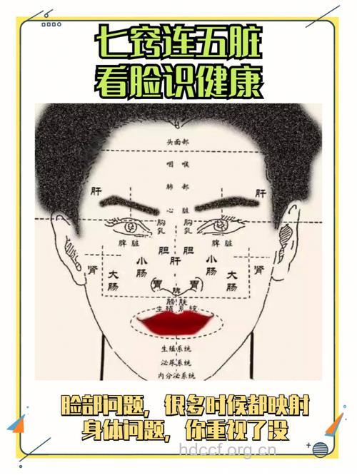 你的脸 其实是健康阴晴表