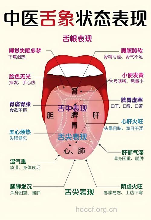 舌诊:舌相分析断诊冠心病