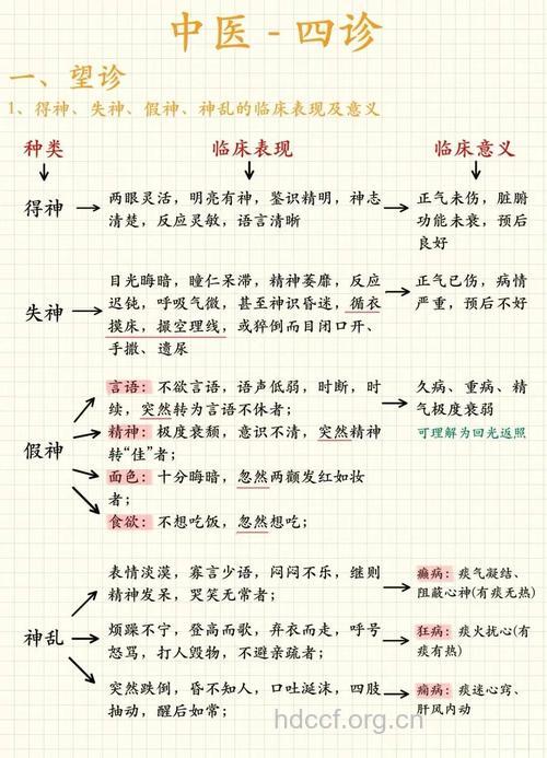 中医望诊之精要―望“气”