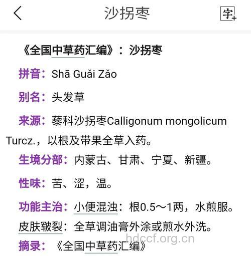 沙拐枣的功效与作用