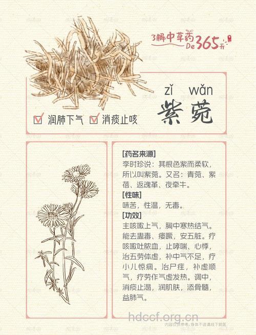 山紫菀的功效与作用