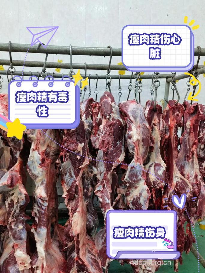 瘦肉精 进食超量易中毒或致癌