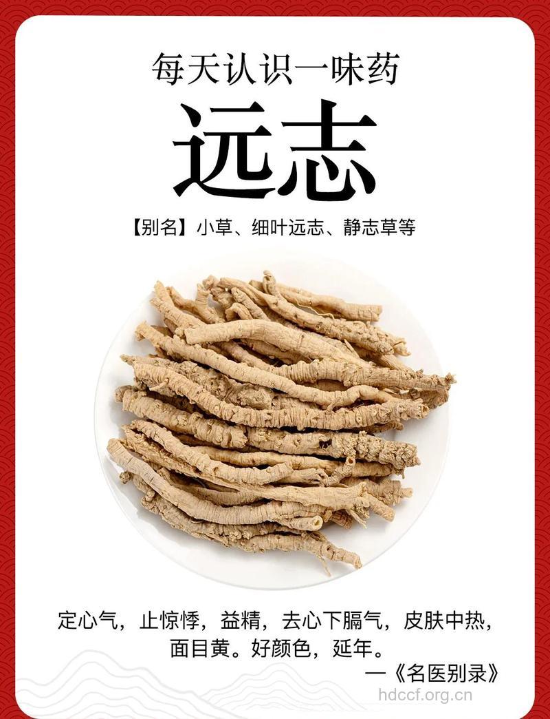 木本远志的功效与作用