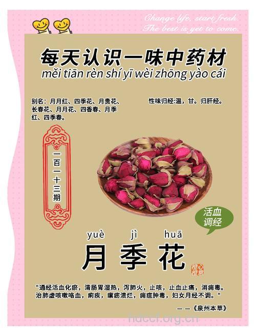 三月花的功效与作用