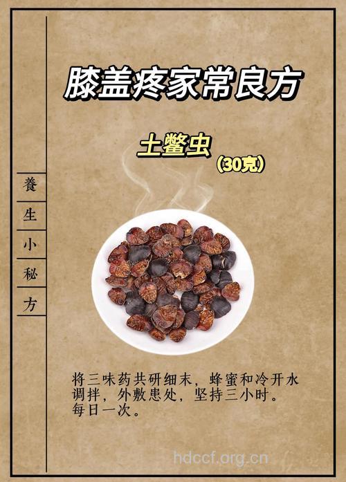 缓解膝盖疼痛的药膳食疗方有哪些