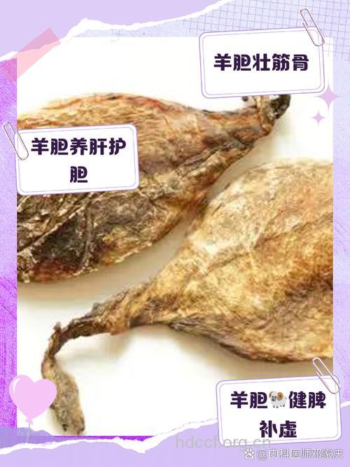獭胆的功效与作用