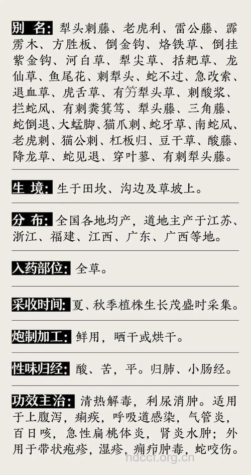 扛板归根的功效与作用