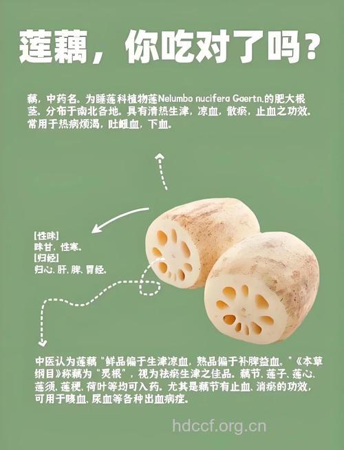 莲藕正当时 不同的搭配有不同的功效