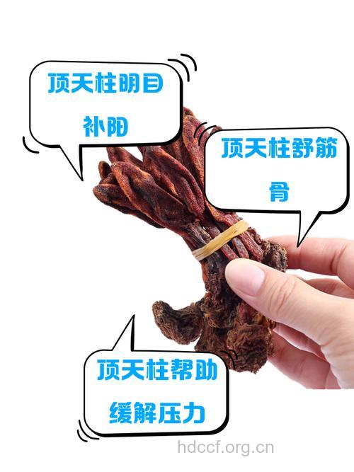 天脚板的功效与作用