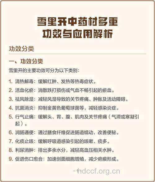 雪里开的功效与作用