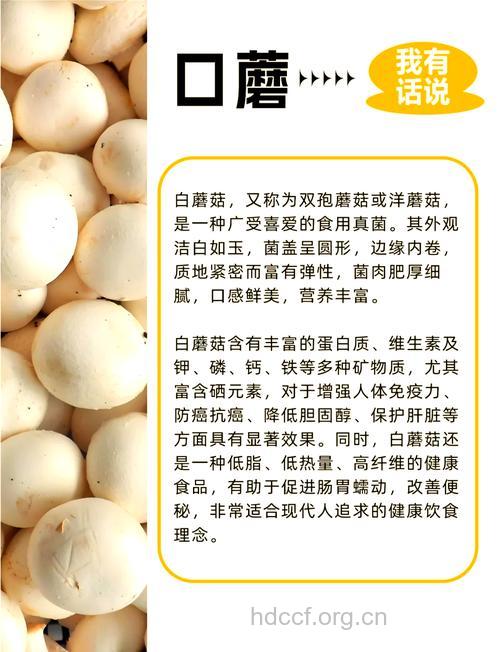 口蘑的功效与作用