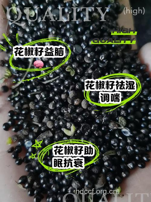 西藏花椒种子的功效与作用
