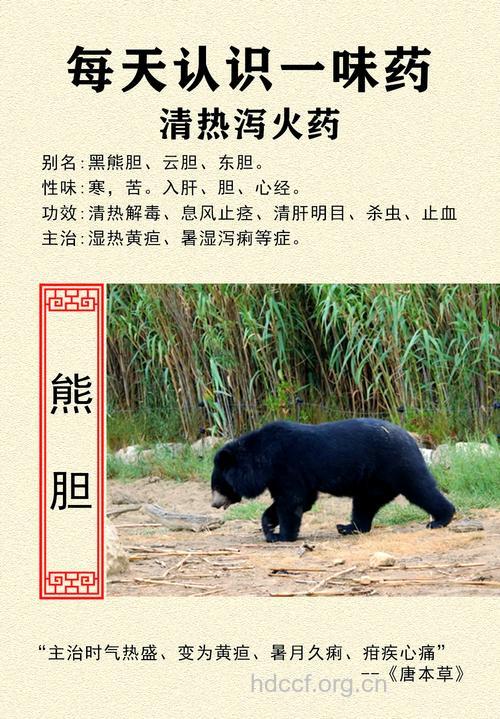 医学表明多种药材可替代熊胆
