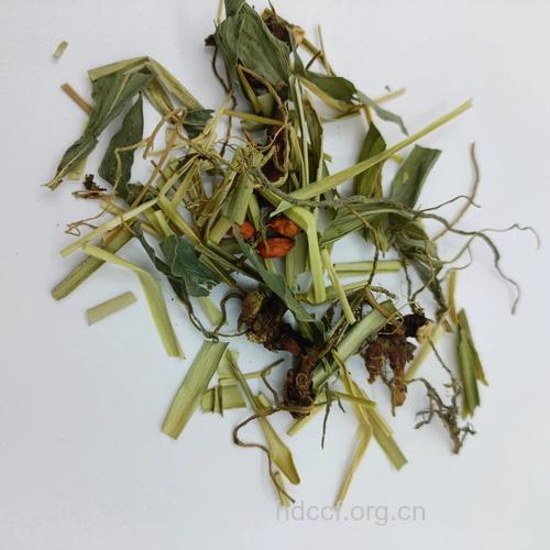 姜叶-中草药大全