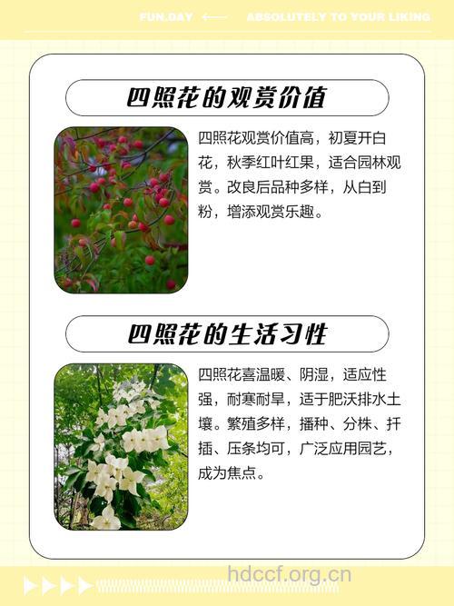 四照花皮的功效与作用