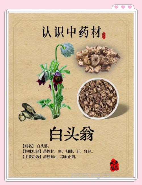 药老的功效与作用