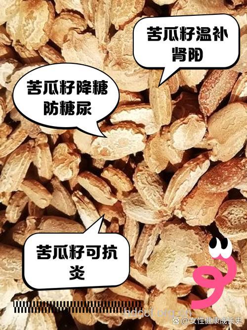 苦瓜子的功效与作用