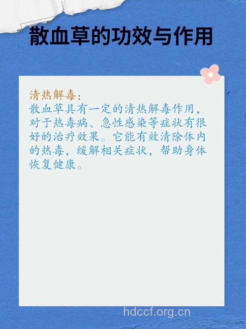 散血草的功效与作用
