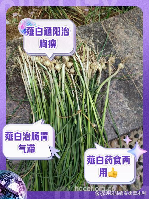 薤叶的功效与作用