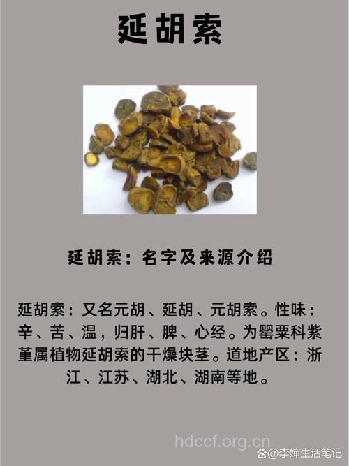 延胡索的功效与作用