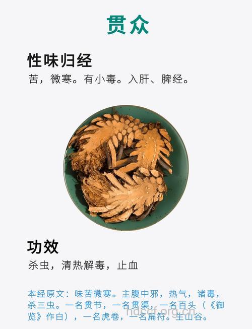 紫萁贯众的功效与作用