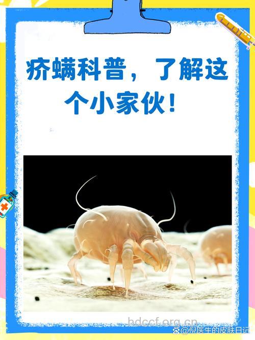 疥螨为何晚上“兴风作浪”