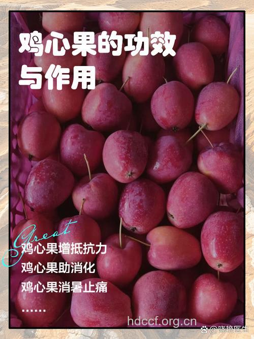 鸡心七的功效与作用