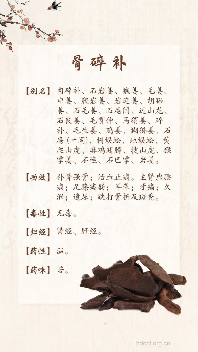 獭骨的功效与作用
