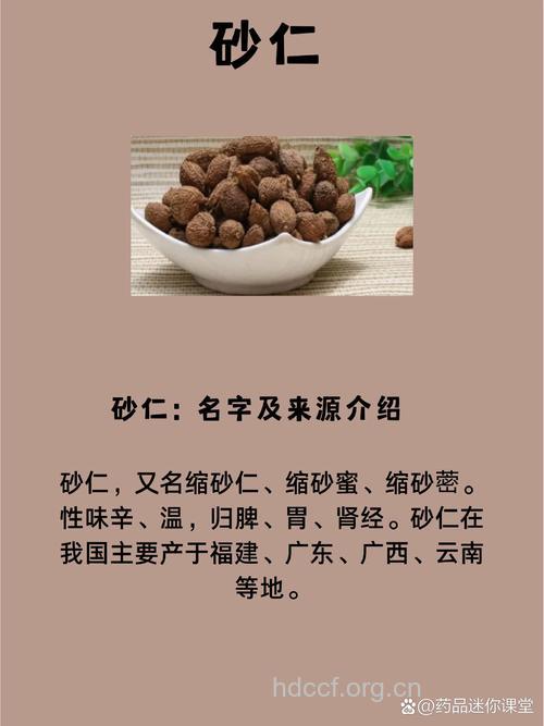 土砂仁的功效与作用