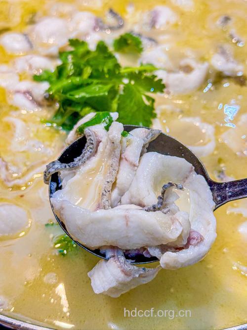 常吃酸菜鱼会诱发胃癌