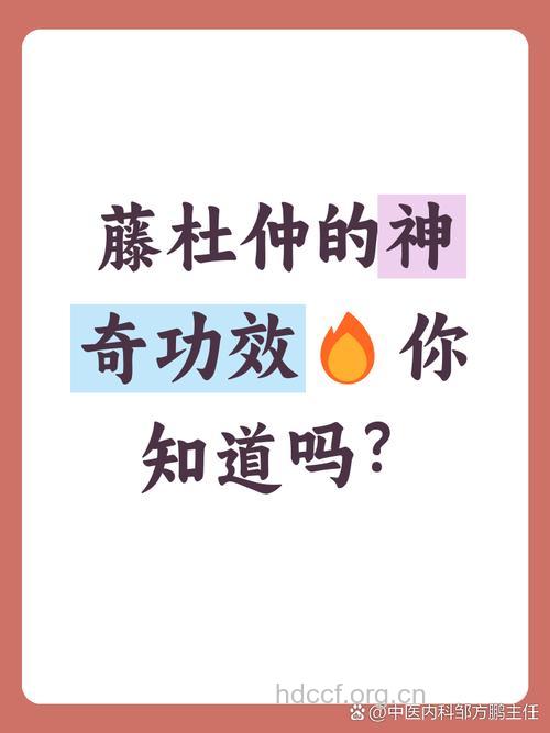 藤仲的功效与作用