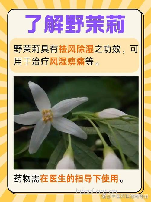 野茉莉的功效与作用
