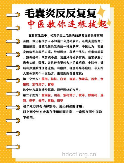 毛囊炎的中医辨证论治法