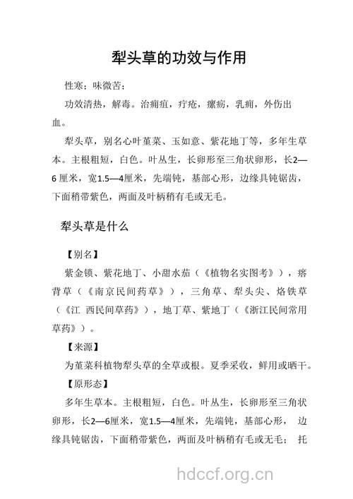犁头草的功效与作用
